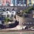 Bayard's Cove Fort